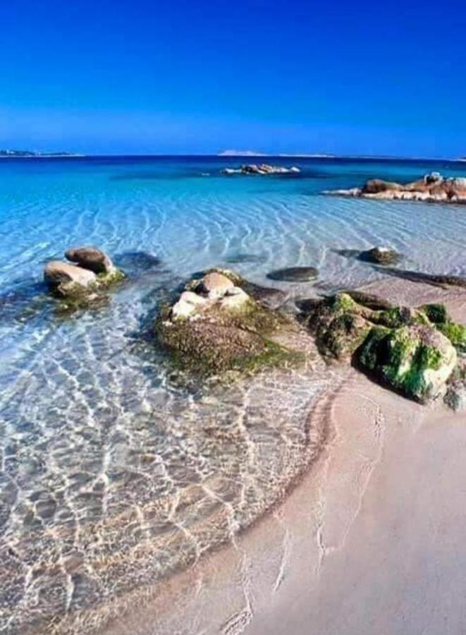 Suite Antonio Cagliari Bagian luar foto